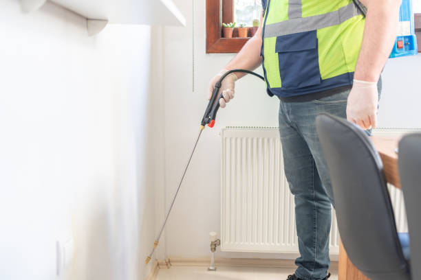 Best Bed Bug Extermination  in Ben Bolt, TX