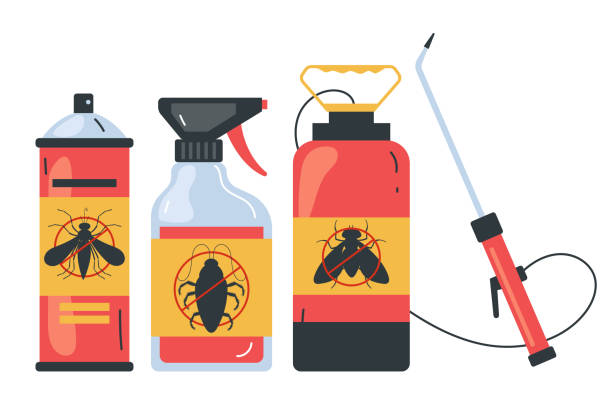 Best Ant Control Services  in Ben Bolt, TX