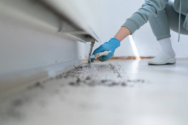 Best Pest Control for Restaurants  in Ben Bolt, TX