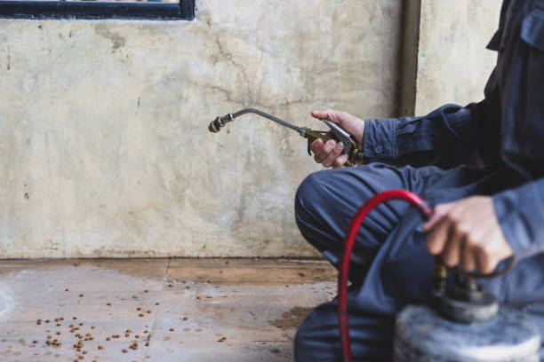 Pest Control for Restaurants in Ben Bolt, TX